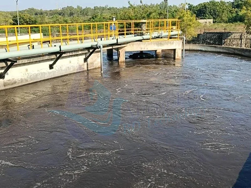 Sewage Treatment Plant
