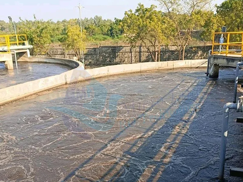 Sewage Treatment Plant