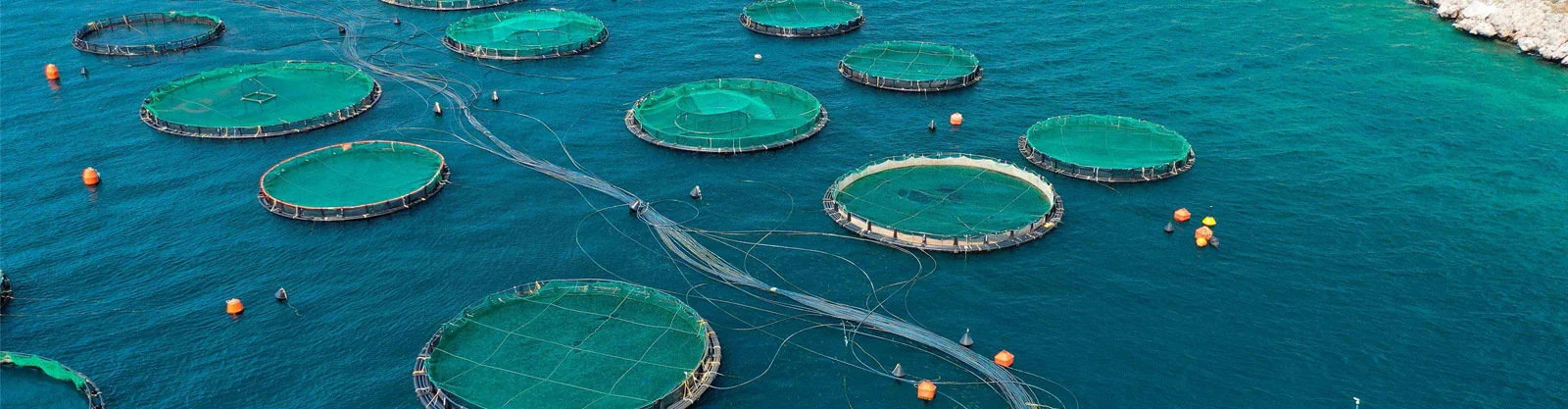 AQUACULTURE